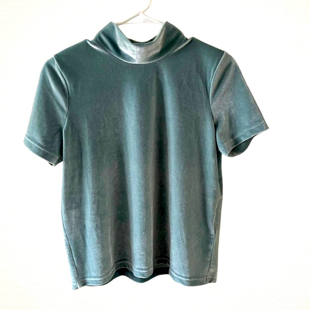 Madewell Mockneck Velvet T-Shirt